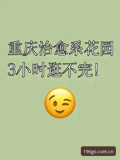 5步找到196体育官网：从迷路到直达官方入口的实战指南